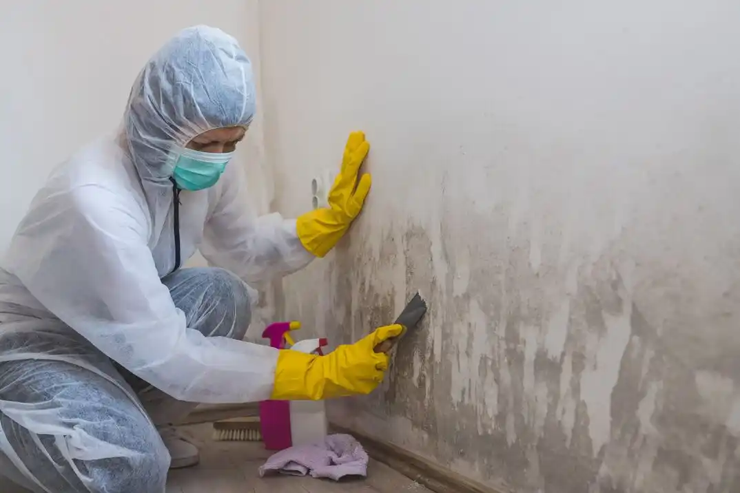 water damage restoration service Victoria Hills